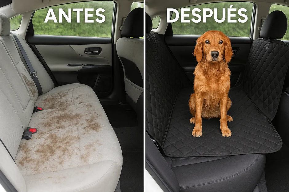 Funda Para Asiento De Coche Protector De Perro, Impermeable